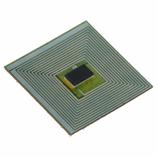 LXMSAPHA08-136 Image